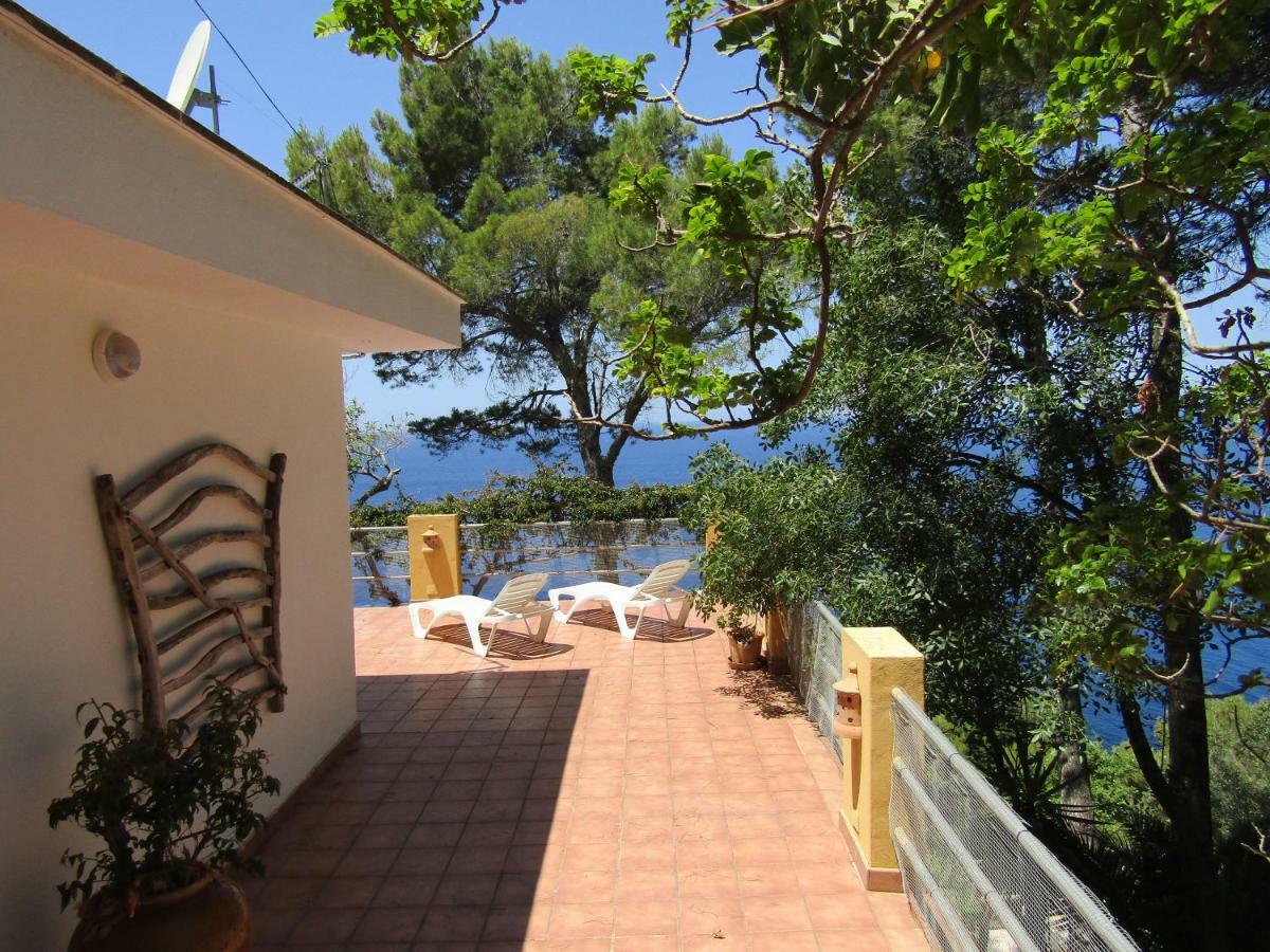 Son Riera Petit Paradis Banyalbufar Exterior photo