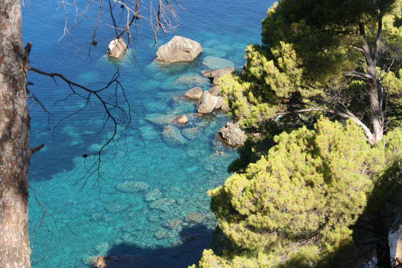 Son Riera Petit Paradis Banyalbufar Exterior photo