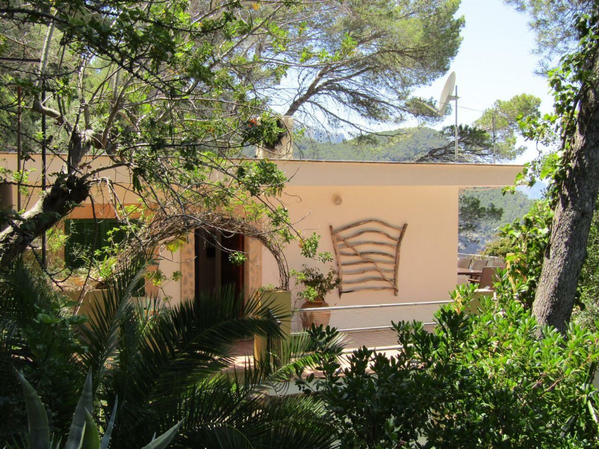 Son Riera Petit Paradis Banyalbufar Exterior photo